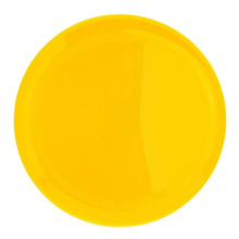 Frisbee ufo maxi - Topgiving