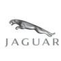 jaguar relatiegeschenken - Topgiving